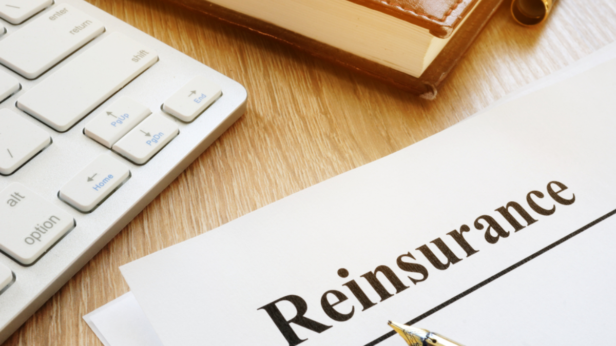 What Is Reinsurance? Meaning, Types & How It Works